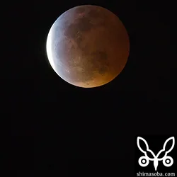皆既月蝕