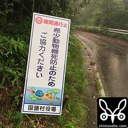 国頭村営林道夜間通行規制にかかる許可証の取得方法