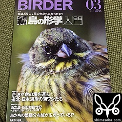 BIRDER誌 2017年3月号表紙。
