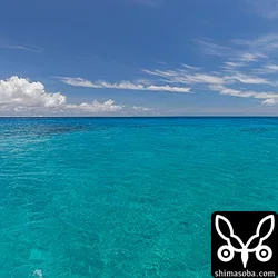 チービシ(慶伊瀬島)の海は大変きれいでした。^^