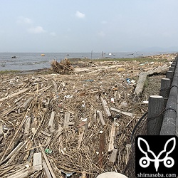 九州大豪雨で流れ着いた漂着物が干潟を覆っていた。奥には、漂着物を撤去する重機が見えます。