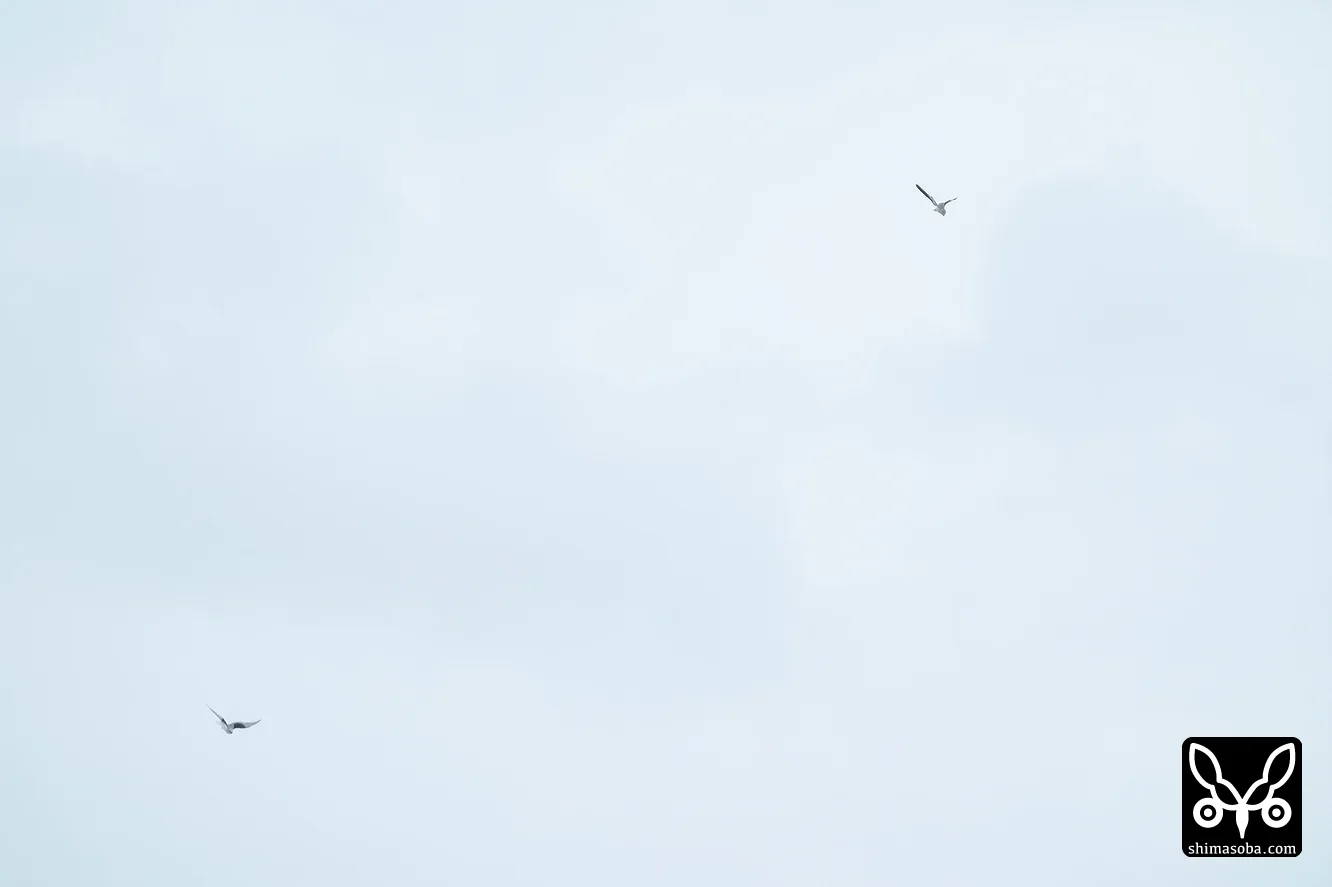カタグロトビ