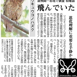2023年9月23日付の新聞記事。島間移動を初めて証明した貴重な個体です。